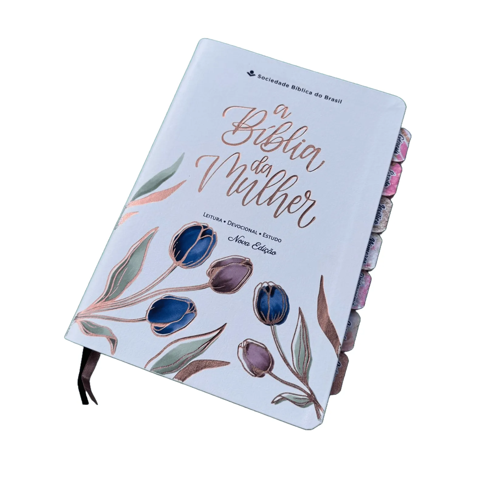 Biblia de Estudo da Mulher Grande Branca Sbb Arc Abas Já colocadas